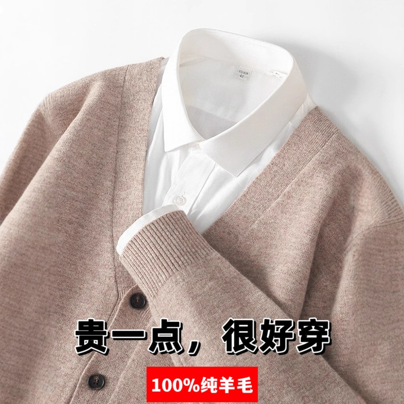 2025 New Autumn and Winter 100% Pure Wool Cardigan Men's V Neck Short Sweater Korean Style Knitted Large Size Cashmere Jacket