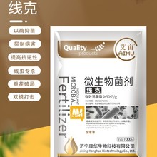 ΢������������|���ˌ������Ʋ������x�����ز��ƾֿ�����