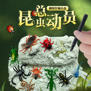 ���x�����ھ���ʹ��������ʯ���6�q�к������ֹ�diy�ں�ϐ��