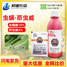 �������S屵� 14%�x�\�����x�������߲˸��{С�˶����x�rș���x��