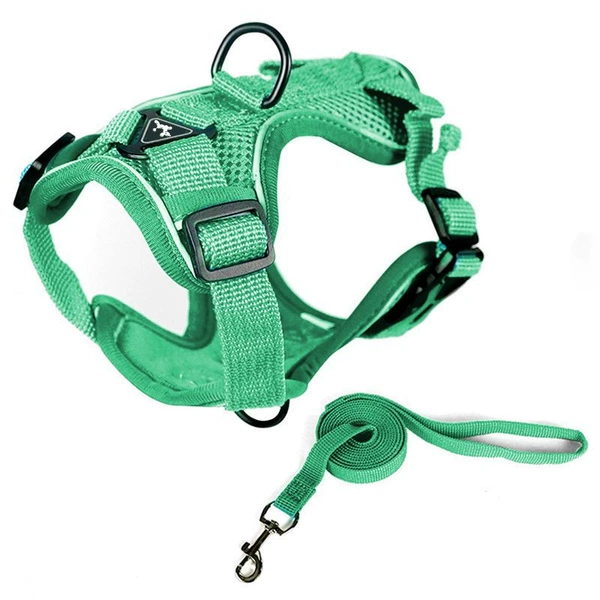 Double layer green harness