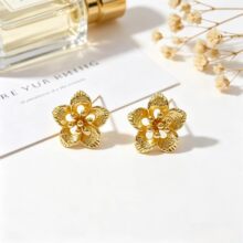 ���n925���y��ᔽ�ɫ�����~���hС���OӋ�����p���䓶����ŮINS