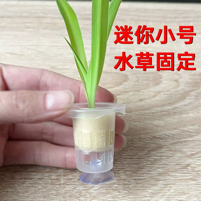 鱼缸造景配件带吸盘水培定植篮水水培植物盆栽固定架绿萝种植杯