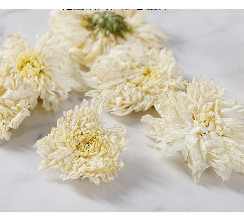 Huangshan White Chrysanthemum Tea July Ju Hua Dried Flower 500g Bulk Loose Herbal Tea in use