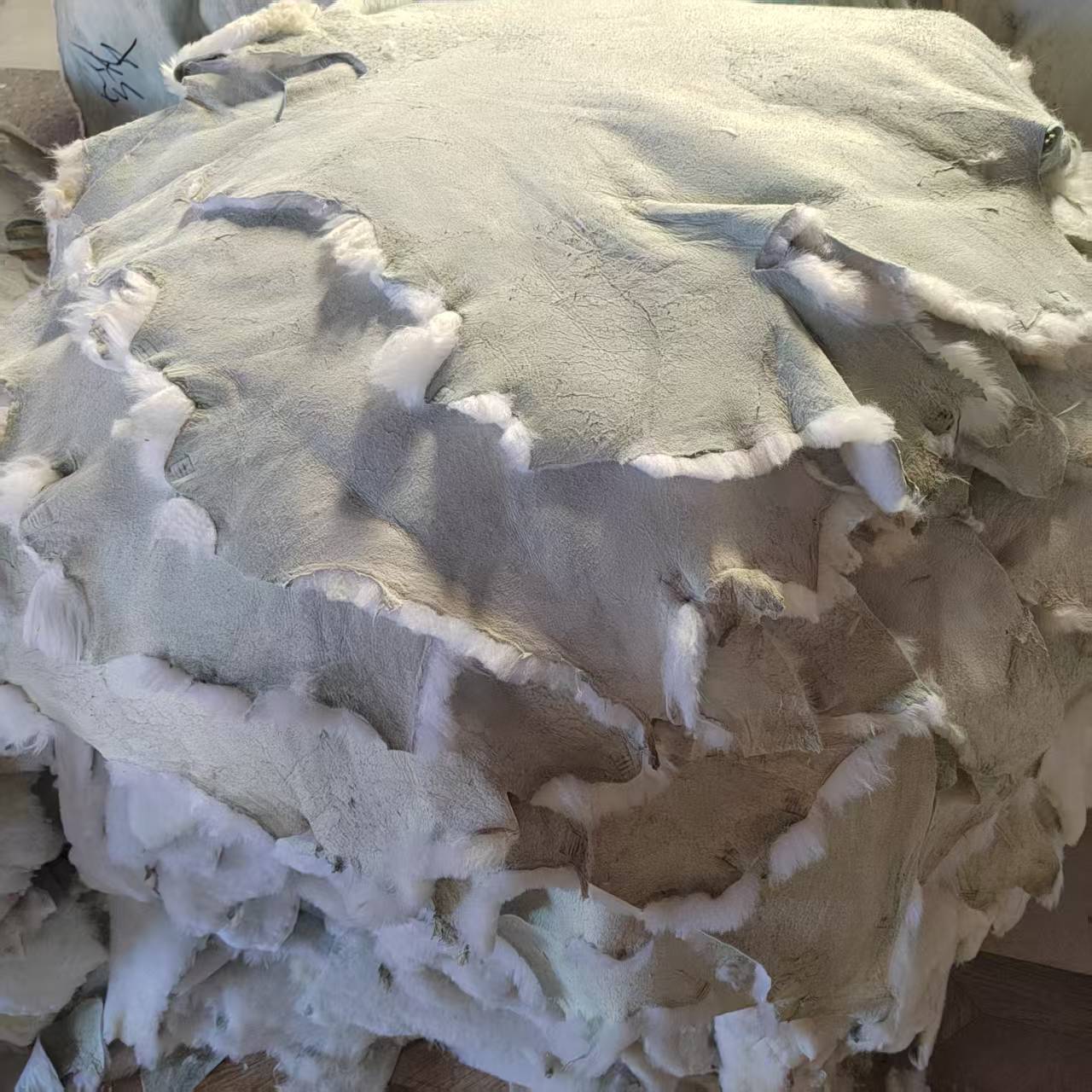 微信图片_20250608163540