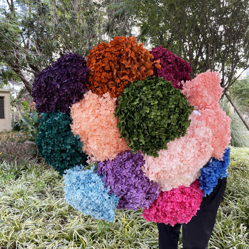 Yunnan Anna Hydrangea Flower Wholesale DIY Flower Preservation Flower Materiales de Regalo de Navidad
