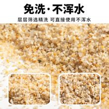 免洗底砂天然造景海沙鱼缸水草底沙海缸乌龟寄居蟹垫料流沙沙子