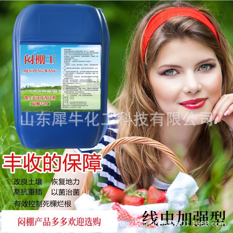 闷棚生物菌剂 代替威百亩 地初元 重茬死根 根结线虫 威百亩