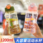 户外运动塑料杯出行运动水瓶便携随身杯大容量运动风塑料吸管杯子