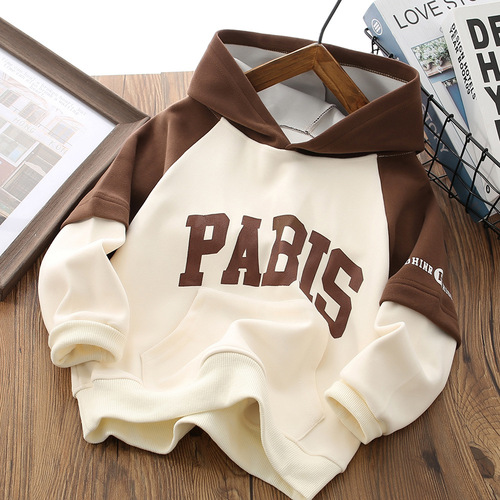 Children's Hooded Sweatshirt  Autumn/Winter New Color-blocked Sweatshirt Boys' Sport Top Long Sleeve Letter Hoodie