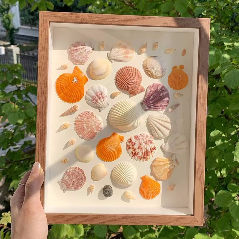 Three-Dimensional Hollow Photo Frame Seaside Shell Conch DIY Specimen Dried Flower Table Creative Handmade Gift Commemorative Photo Frame Three-Dimensional Hollow Photo Frame Seaside Shell Conch DIY Specimen Dried Flower Table Creative Handmade Gift Commemorative Photo Frame