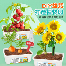 ͯNֲԄֲֹDiyk̨ꖹⷿȷN