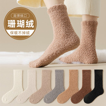 mŮﶬӺ񲻵ëɺqmӱů_Ͳm˯m