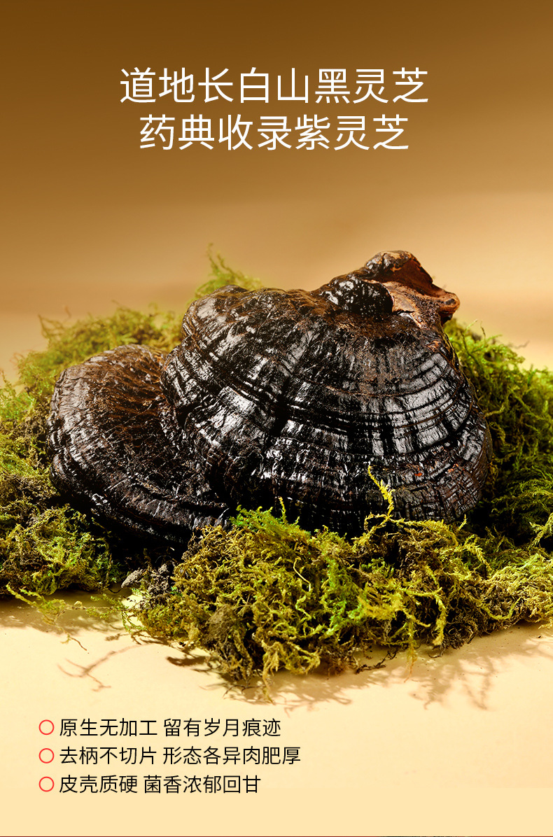 Dongfang Song Four-Herb Gift Box Xiaoman American Ginseng Black Reishi Goji Cordyceps 210g in use