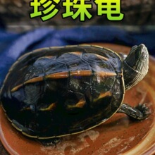 ���������A����С������������������������w����ˮ���^�p��