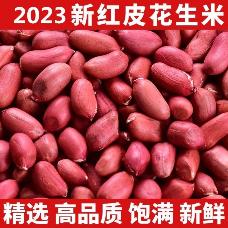 红皮花生米花生米生农家厂家花生代发年新货四粒自产小生米批发新|undefined
