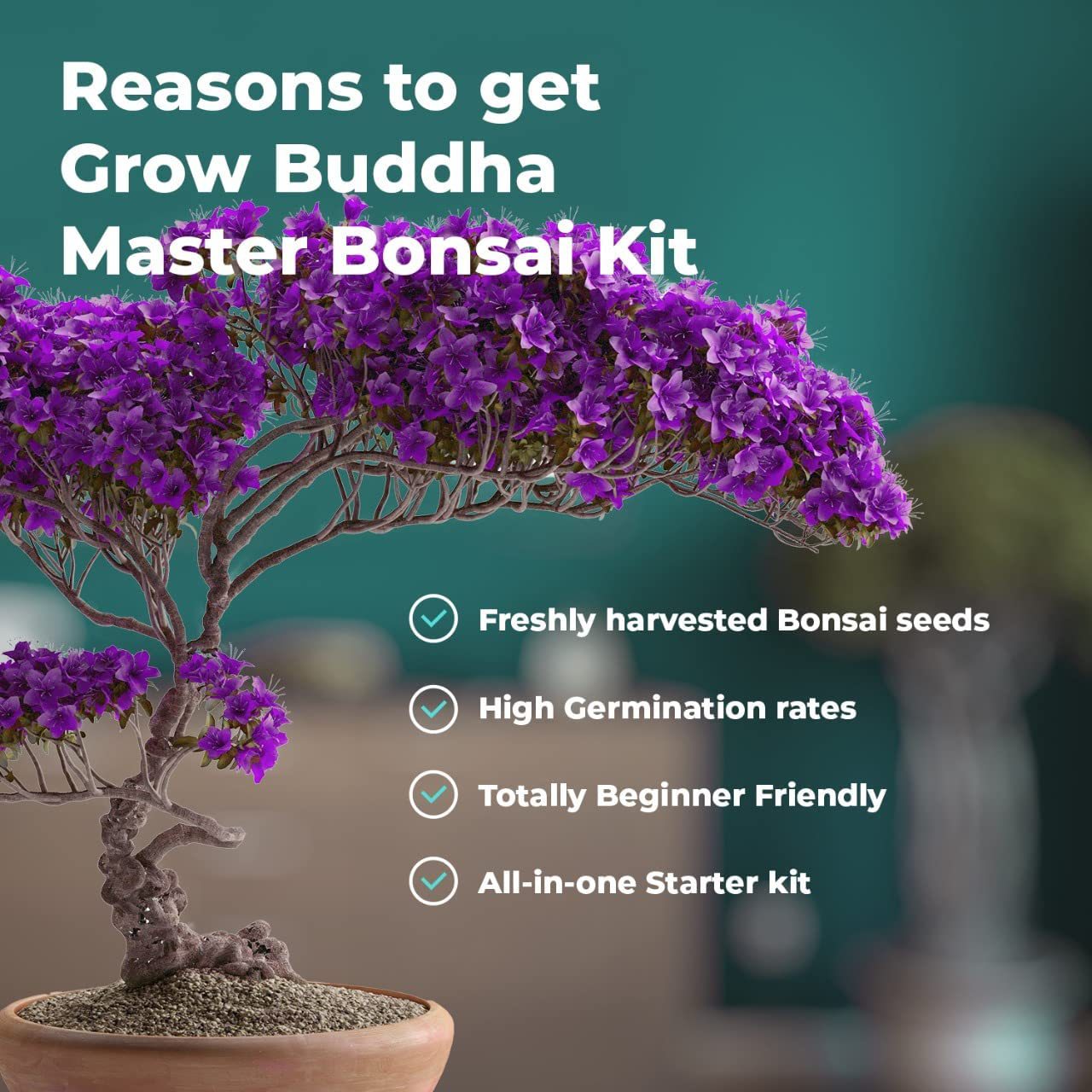 亚马逊盆景大师工具套件含种子完整的盆栽种植套件创意礼物批发