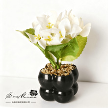 ٻ÷辰滨͏dҔ[kҾb滨