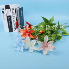 ҾӔ[Fɏٻ YcbFɏ컨