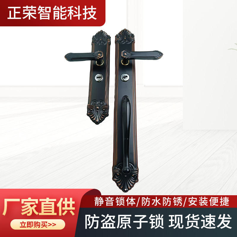 轻奢欧式多功能防盗门拉手羽叶沉香304不锈钢门把手别墅门锁面板