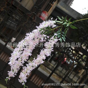 ����3�洹�����㻨 �b��� �ٗl��������b�ˇ ��c�ڒ컨ˇ