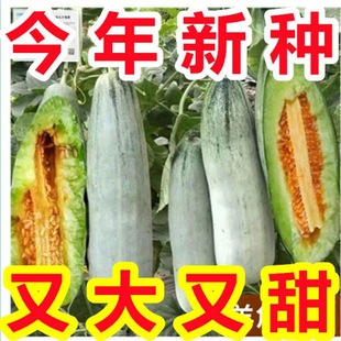 �������·N���������ϷN���ִ���N�ѱ�Ƥ��ϴ����ļ�ˮ���N��