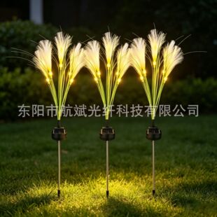 LED̫��ܹ��w�JȔ�ز��������澰�^ͥԺ�b���������ز�ƺ��