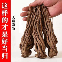 ếh���w������ș������Ұ��ȫ���w����Ұ�����w�lȫ���wƬ��ș��