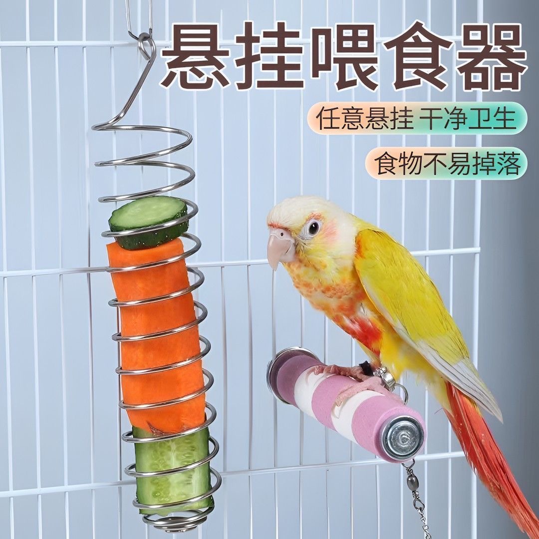 Pet feeding utensils for parrots