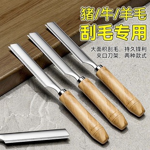 ��ë���i����ë���i���iƤȥë���ò��P䓹�ë��Ƭ�������ië����