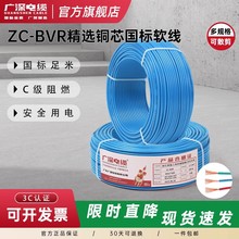 �V����|ZC-BVR��ȼ���ܛ�����~���ˆ�о����1.5/2.5/4/6/10ƽ��