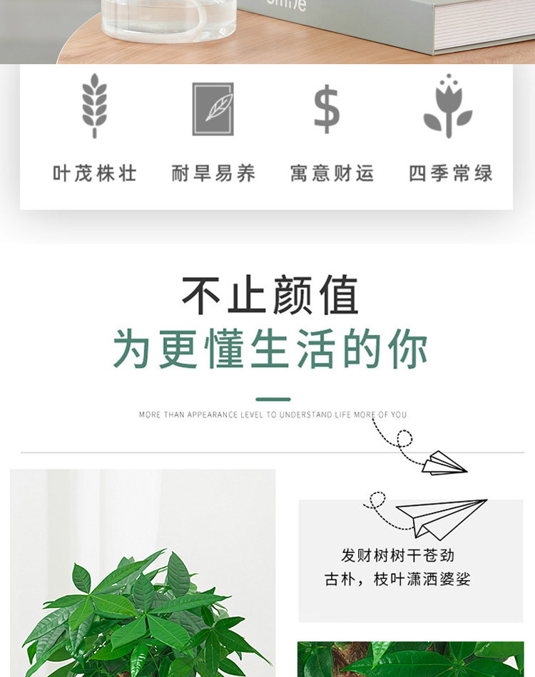 详情图