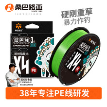 ɣ�����׏���ڌ���pe��·����������ĥ�^�~�����~4�������R�~��