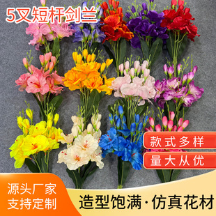 ���愦�m��c5����m���컨�Ҿ��bƵ�[ʽ����zӰ���m