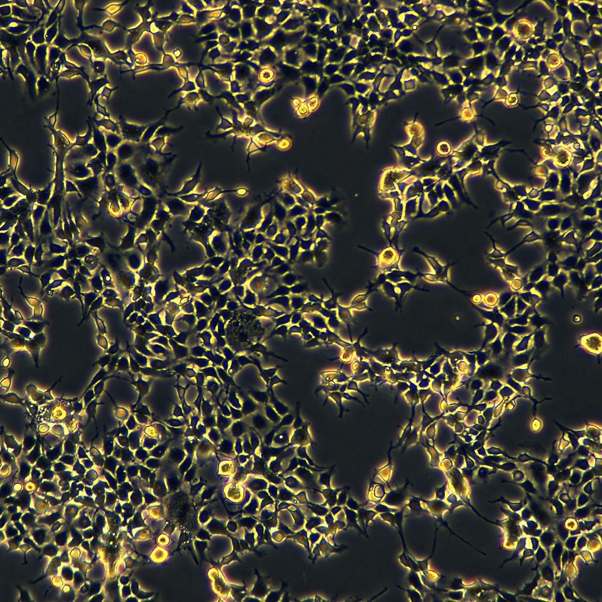 2025-09-18 14:04:10.jpg