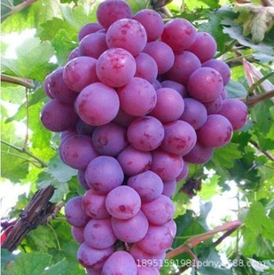 �����������ѻ������l ���Ѿ����������ј��� ᄾ����������Ե���