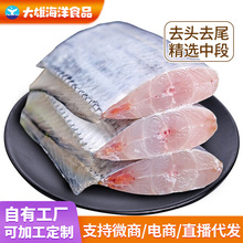 冷冻带鱼段批发无冰带鱼段整箱东海小眼带鱼中段新货带鱼一件代发