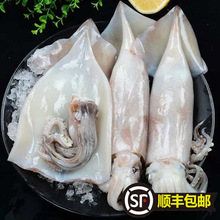 10����S���]��ֻ�����~�r��������~�r���~��צ�~���~횟���ʳ��