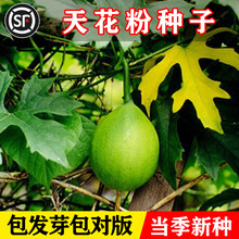 ӹVN컨ǵǹV·N̵ǹVN