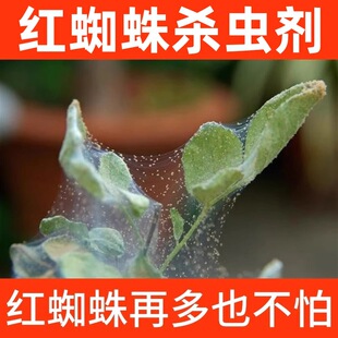 �t֩�뚢�x���߲˹��仨�ܰ׷�ʭ���xā�x�S�����xͨ�Ú��x����Ʒ