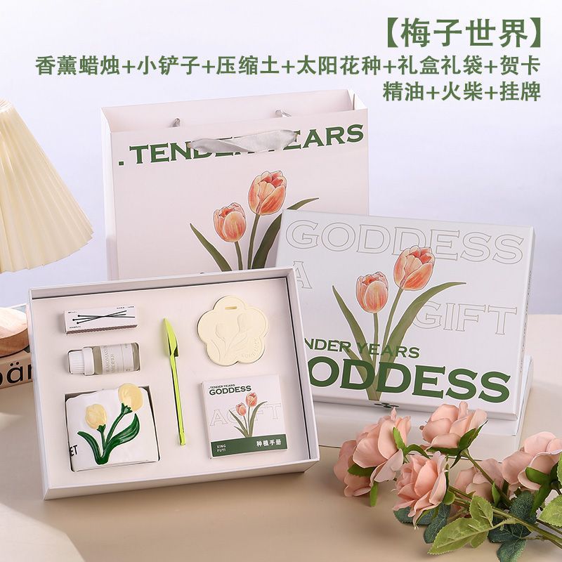 튤립 선물 상자 A형 샴페인 컬러 - 플럼 월드