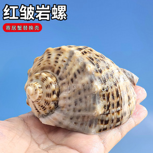 �}�t����Ȼ�t�����ݾ�ؐ�~�Q���~��ˮ���^�쾰�b����쾰����