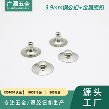 3.9mm~ tһ늘O o ECGȻy僃