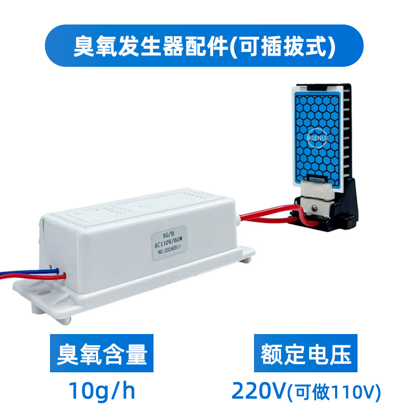 220V10G 플러그인(오존 시트 + 전원 공급 장치)