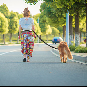 详情Detail-8.jpg?x-oss-process=image/format,png