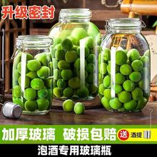 泡酒玻璃瓶高档密封酒坛子大容量加厚药材密封大容器卡扣泡酒瓶子