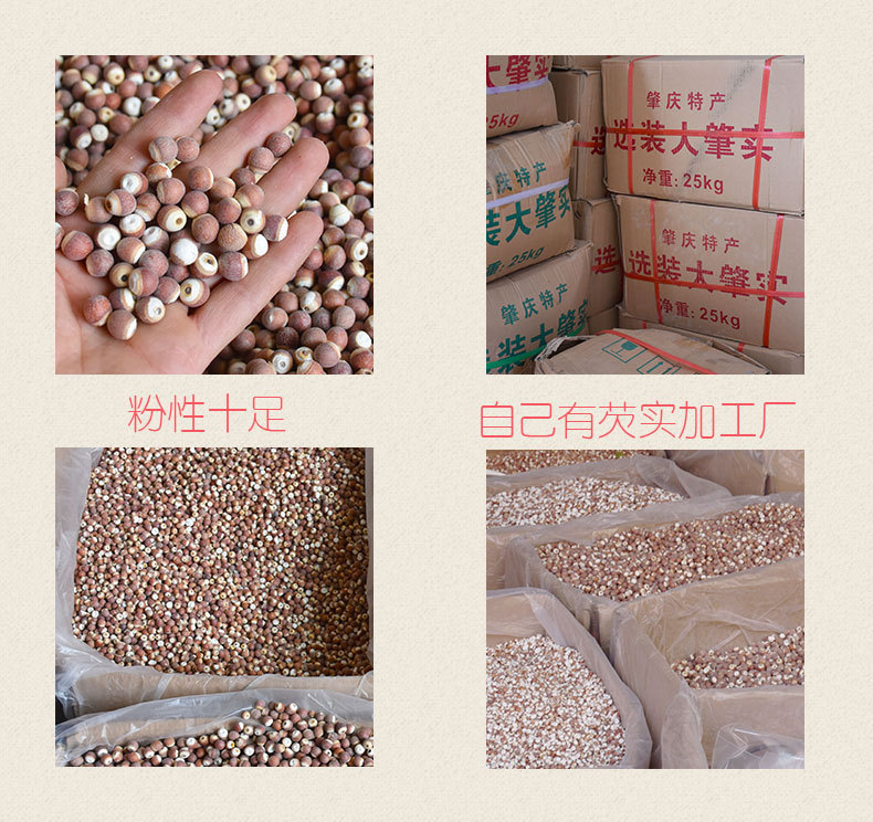 Dried Gorgon Fruit Qian Shi 500g Premium Euryale Seeds for Soup Congee and Herbal Decoction specifications