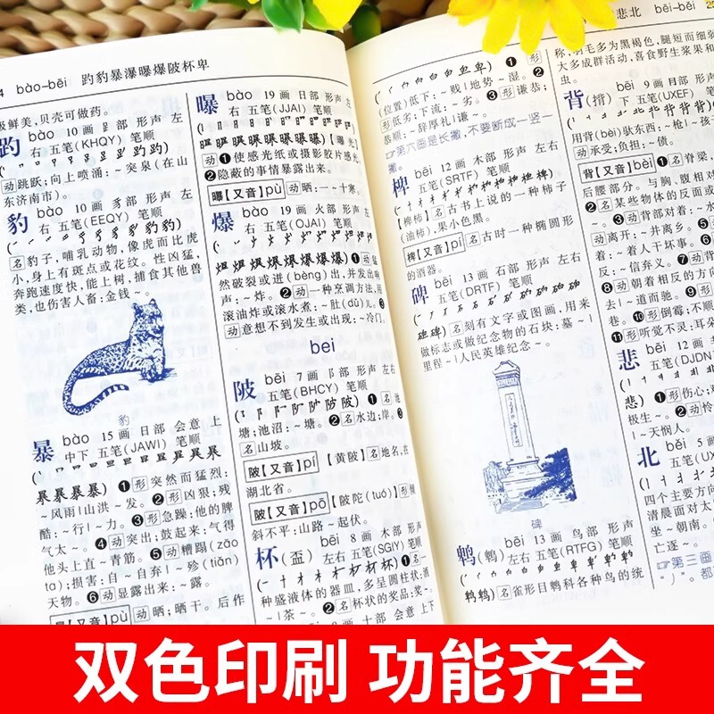 オプション】学生実用新華辞典 第7版 小中学生向け特別2色辞典 辞書参考書|undefined