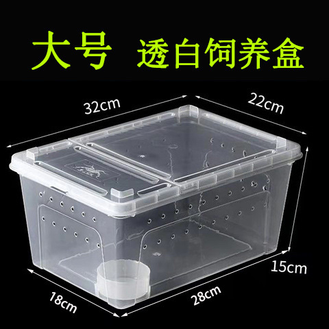 Wholesale large-sized spider crab boxes, live creatures silkworms, spiders, horned frogs, lizards, snails, pet breeding boxes, insect tanks, turtle tanks