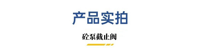 O1CN01DY3pIu1K1gEdQeHua_!!2201481931104-0-cib.jpg?__r__=1725263125944